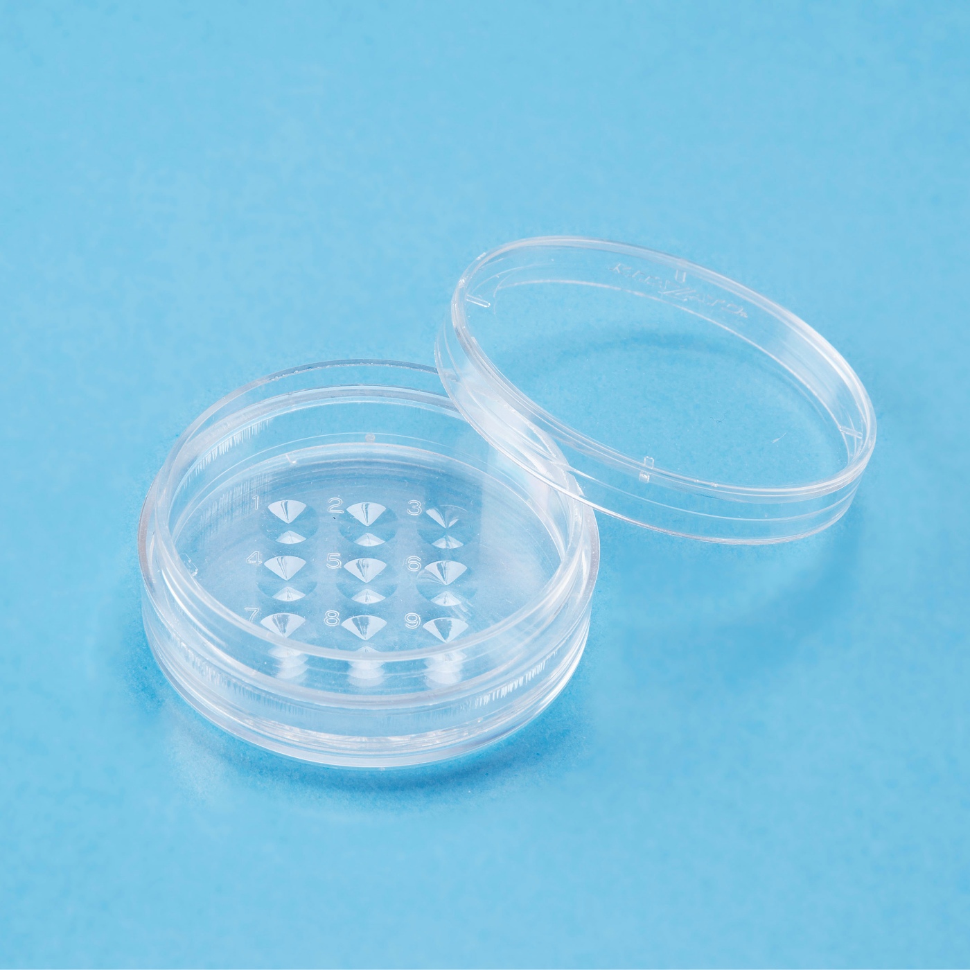 Dish/Plate 35mm 9 Dimple Dish