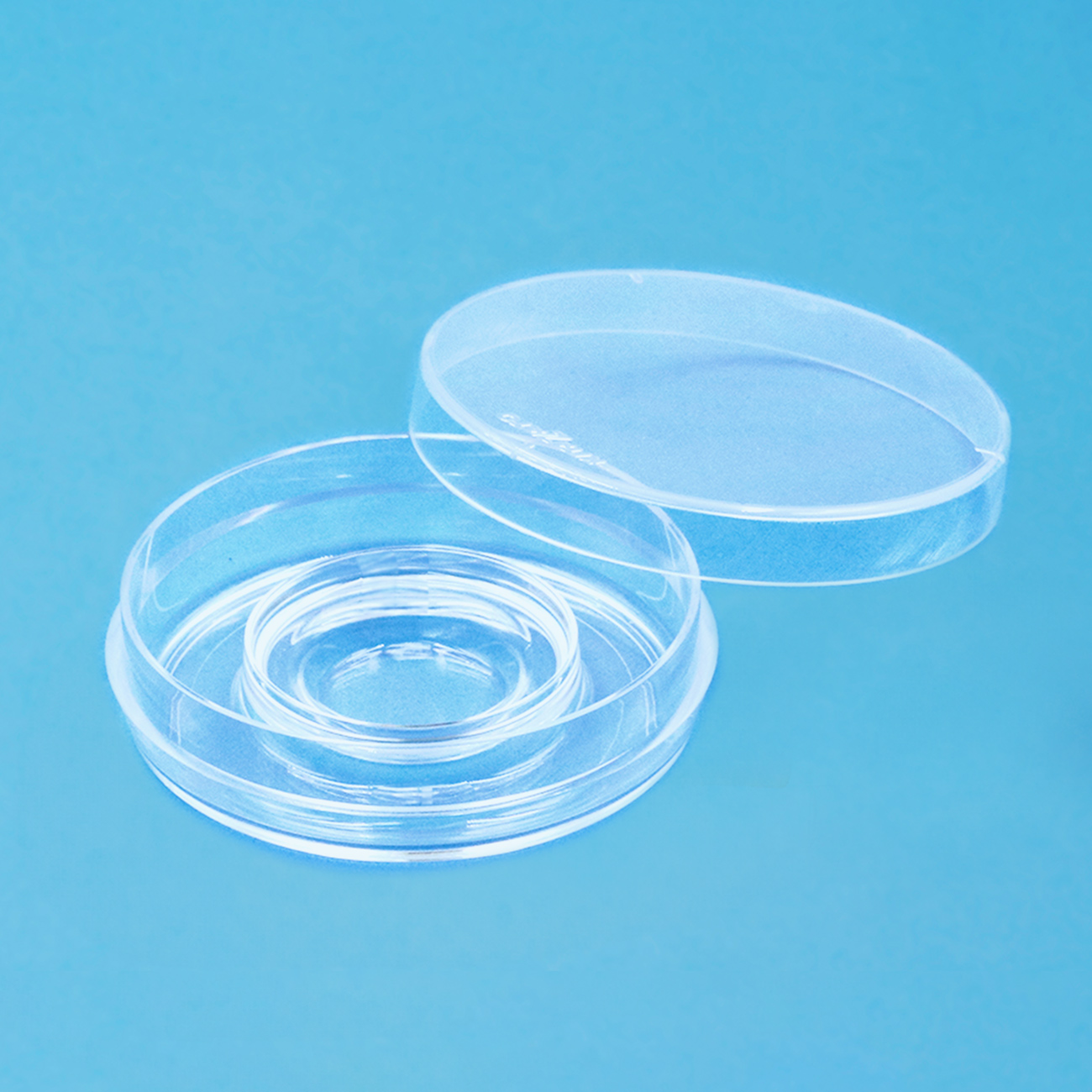 Dish/Plate Center Well Dish EZ