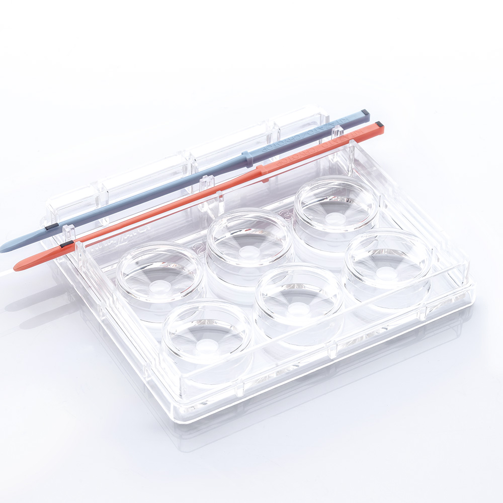 Oocyte vitrification dish Repro Plate